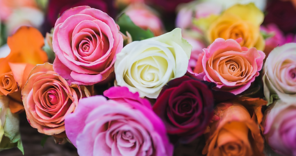 The meaning of roses at a funeral